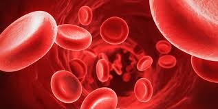 Hematologia