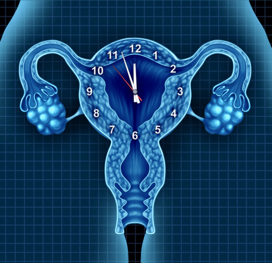 Capa do artigo QUAL A HORA CERTA PARA TRATAMENTO DE FERTILIZAÇÃO?