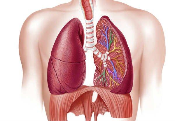 Capa do artigo Sintomas como falta de ar, tosse e dificuldades respiratórias podem indicar DPOC