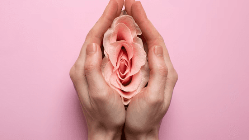 Capa do artigo Ginecologia regenerativa e a revolução na autoestima genital feminina