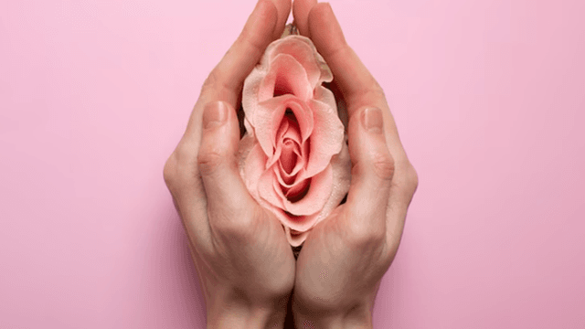Capa do artigo Ginecologia regenerativa e a revolução na autoestima genital feminina