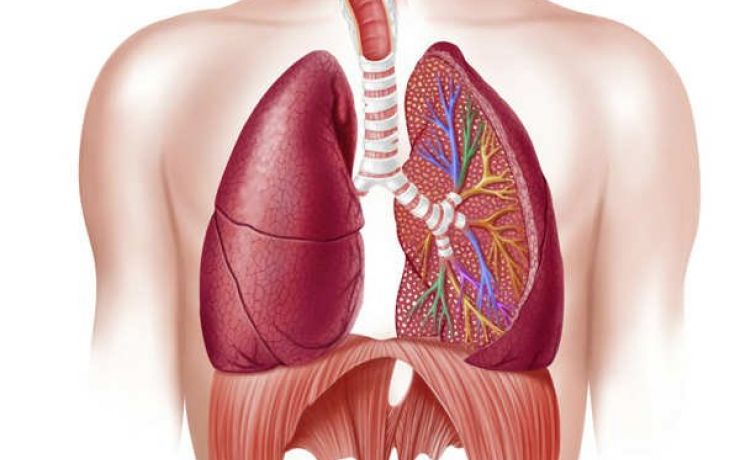 Sintomas como falta de ar, tosse e dificuldades respiratórias podem indicar DPOC